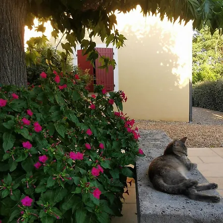Bed & Breakfast Bastide Saint Bernard *