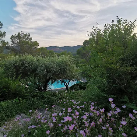 Bastide Saint Bernard Bed & Breakfast *
